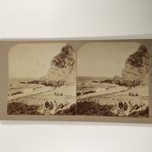 View estereo cardboard