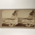 View estereo cardboard