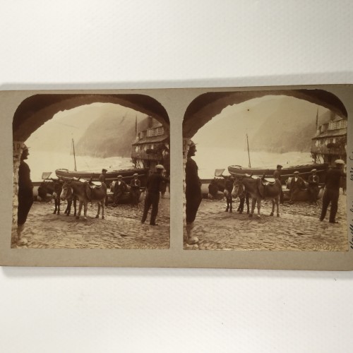View estereo cardboard
