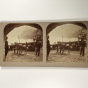 View estereo cardboard