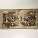 View estereo cardboard