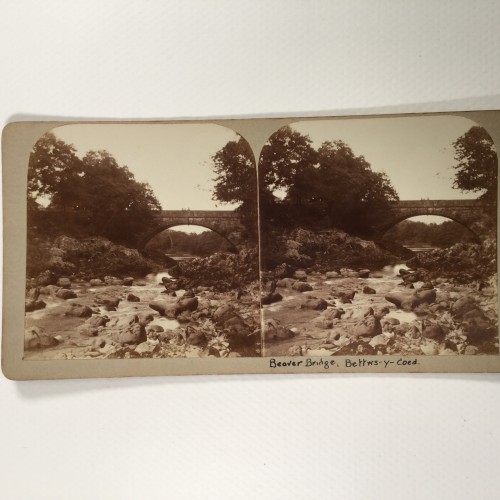 View estereo cardboard