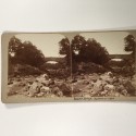 View estereo cardboard