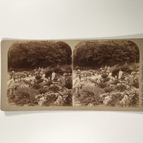 View estereo cardboard