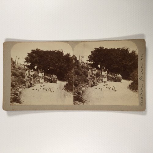 View estereo cardboard