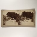 View estereo cardboard