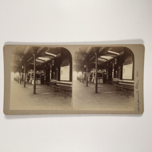 View estereo cardboard