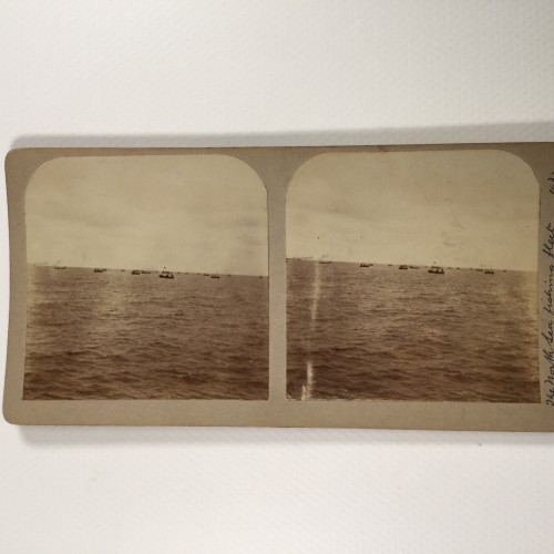View estereo cardboard