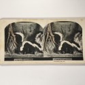 View estereo cardboard