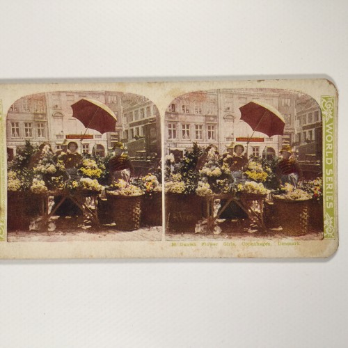 View estereo cardboard