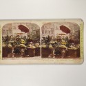 View estereo cardboard