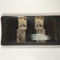 View estereo cardboard