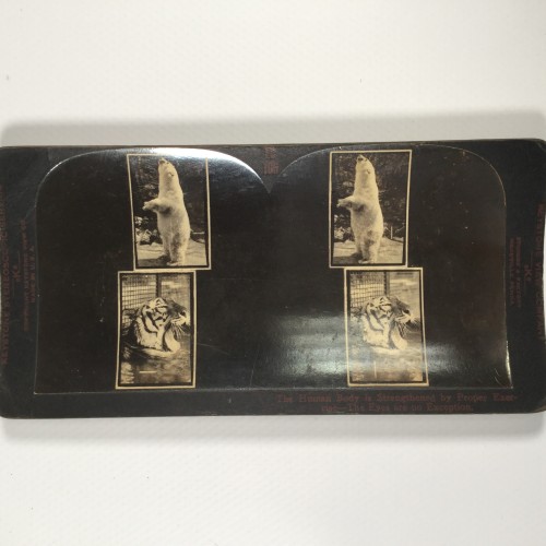 View estereo cardboard