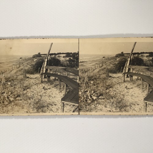 Voir le carton de