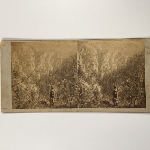 View estereo cardboard