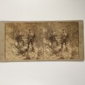 View estereo cardboard