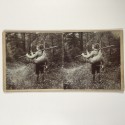 View estereo cardboard