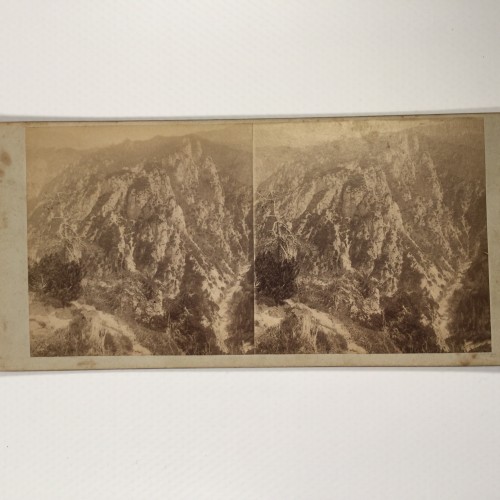 View estereo cardboard