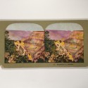 View estereo cardboard