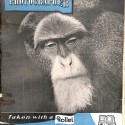 Revista Cineastas Aragoneses