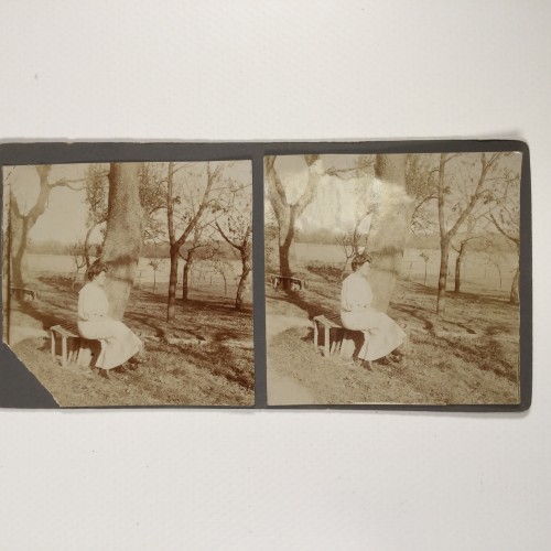 View estereo cardboard
