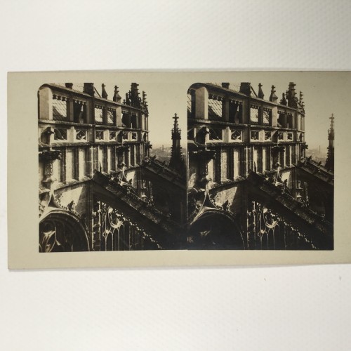 View estereo cardboard