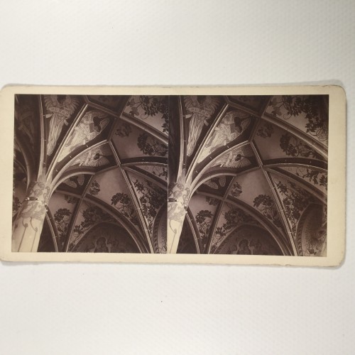 View estereo cardboard