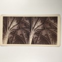 View estereo cardboard