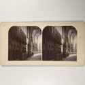 View estereo cardboard