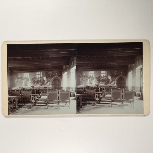 View estereo cardboard