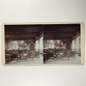 View estereo cardboard
