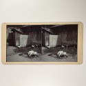 View estereo cardboard