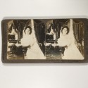 View estereo cardboard