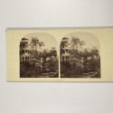 View estereo cardboard
