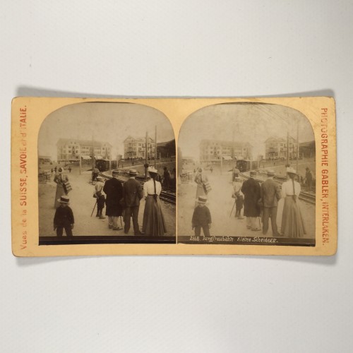View estereo cardboard