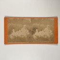View estereo cardboard