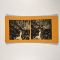 View estereo cardboard