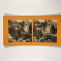 View estereo cardboard
