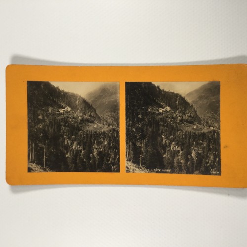View estereo cardboard
