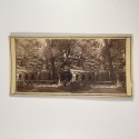 View estereo cardboard