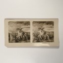 View estereo cardboard