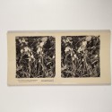 View estereo cardboard