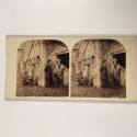 View estereo cardboard