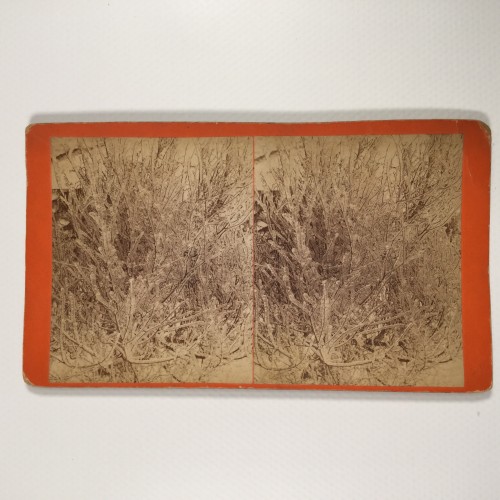 View estereo cardboard