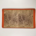 View estereo cardboard