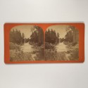 View estereo cardboard