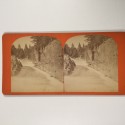 View estereo cardboard