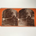 View estereo cardboard