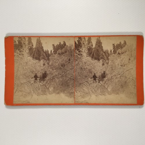 View estereo cardboard