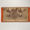 View estereo cardboard